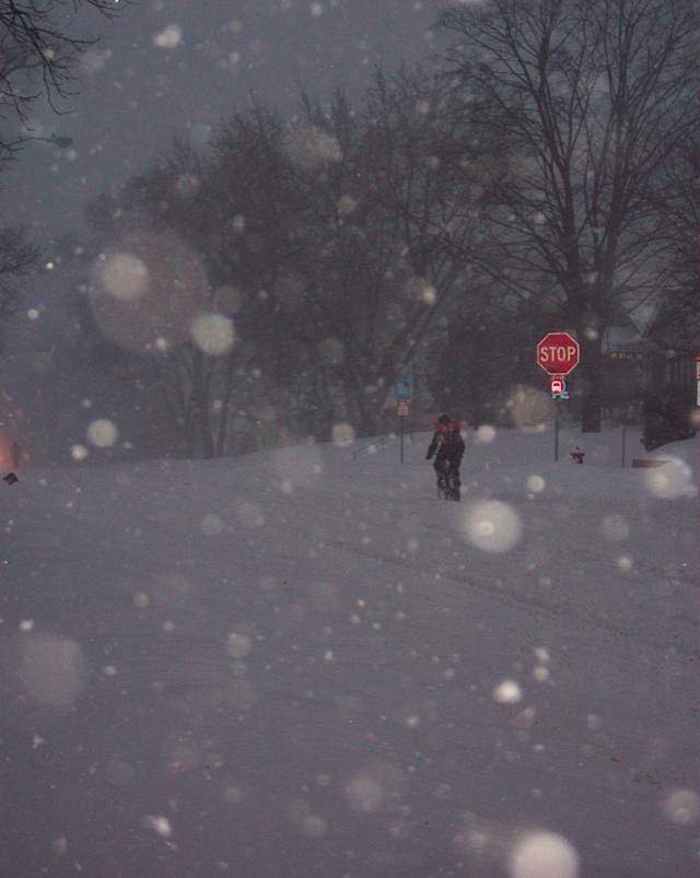 100_2337.jpg