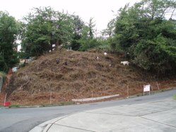 200910281346