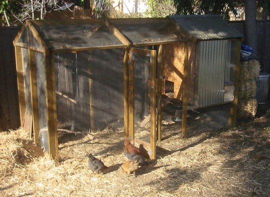 Ck Coop: How to build a easy clean chicken coop