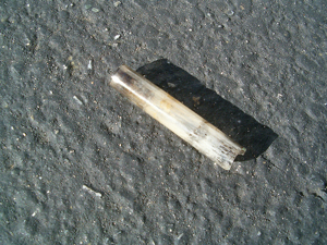 201005051208