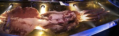 800px-N20090116_120650--pan-1.jpg