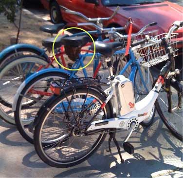 Beesbike1