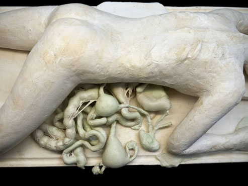 Cradle to Cradle 01.jpg