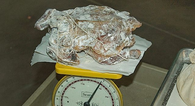 Nefertweety on the scale.jpg