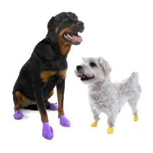 PAWZ Disposable Reusable Boots - 12 Pack XX Small in Yellow.jpeg