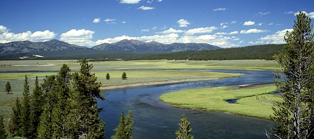 Yellowstone_River_in_Hayden_Valley.jpg