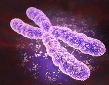 bacteriagenes.jpg