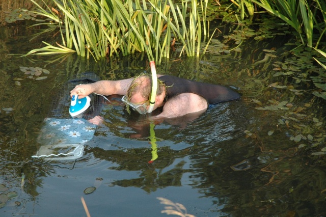 bog%20snorkeling%20by%20Slitkicker.jpg