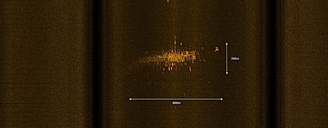 brightspots.jpg