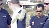 Cactus-Ambush-Tb