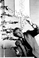 crick