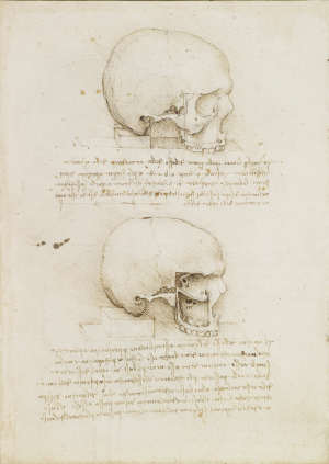 da vinci mori.jpg