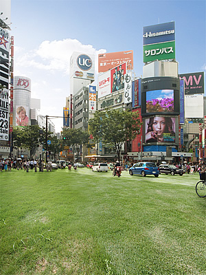 dannychoo_greenisland.jpg