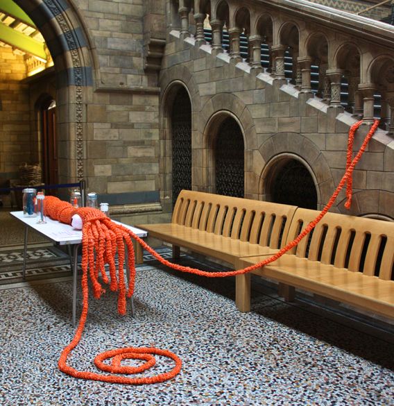 giantsquid.jpg