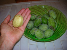Guava