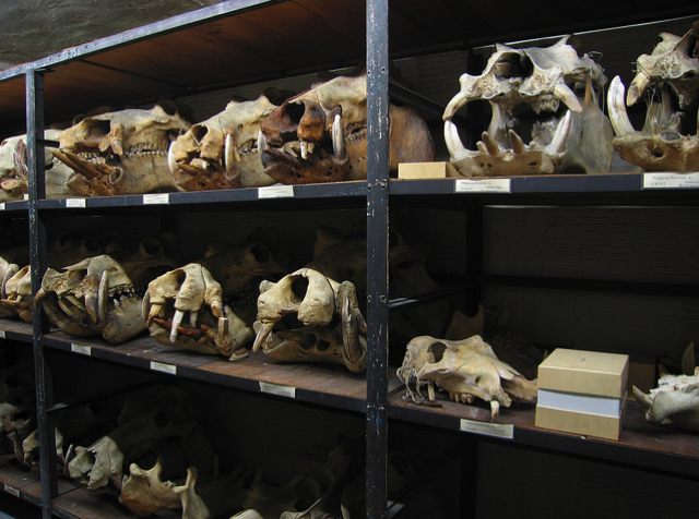 in the hippo room.jpg