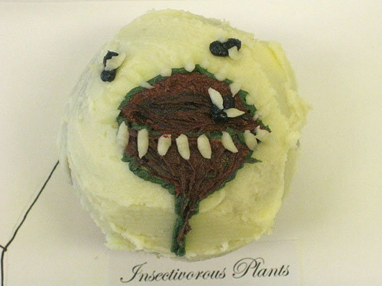 insectplantcupcake.jpg