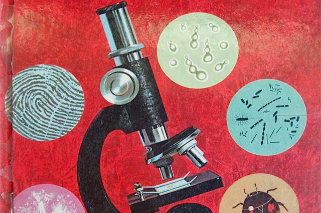 microscope.jpg