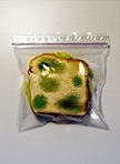 moldwich.jpg