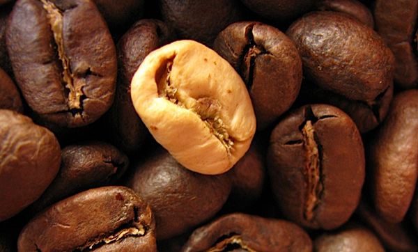nomcoffeenom.jpg