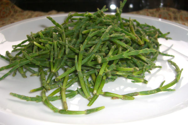 seabeans.jpg
