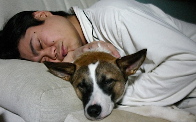 sleepysleep.jpg