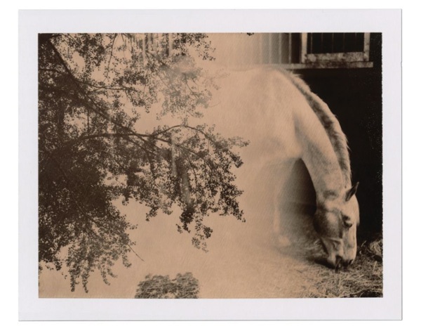 Autumndewilde-Impossibleproject 2-1