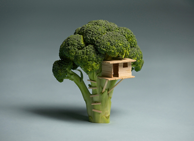 Broccoli House.jpeg