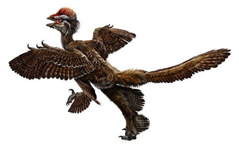 Feathered Ancestor