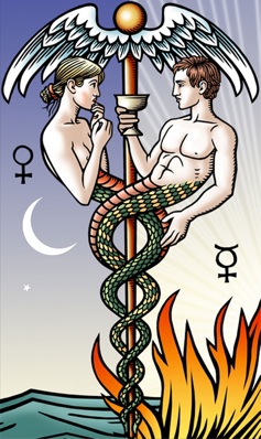 Robertmplacecaduceus