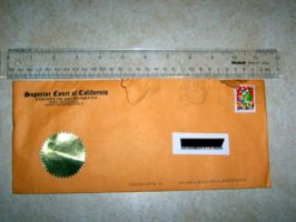 Citizen Citation Citation04