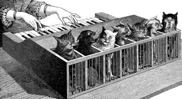 Images Cat-Piano