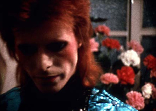  Images Managed Story+Image Ziggy