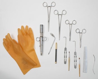  Images Managed Press Elvis Tools