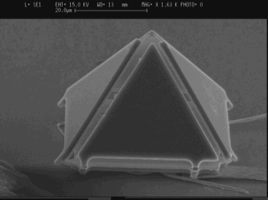 Images Pictures News Hires Voxelpyramid