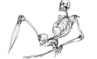  Wordpress Wp-Content Images Skeletondrawing
