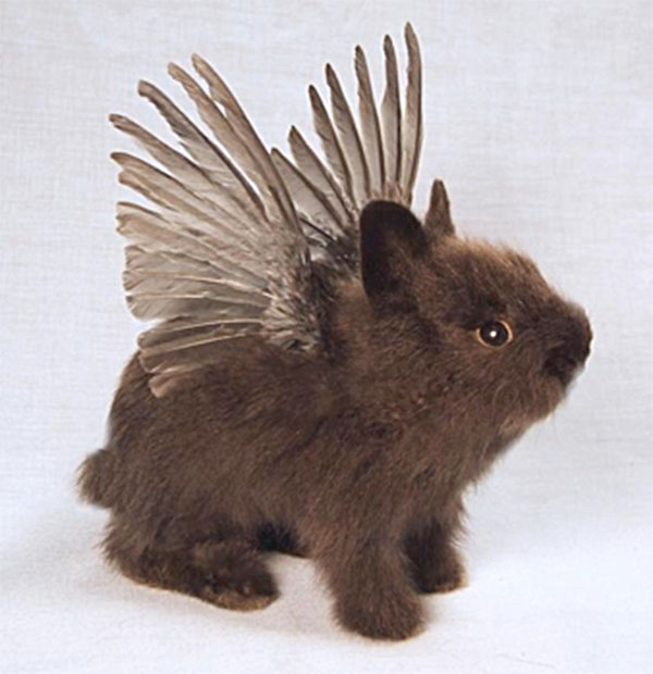 animalanimalmineralno.jpg