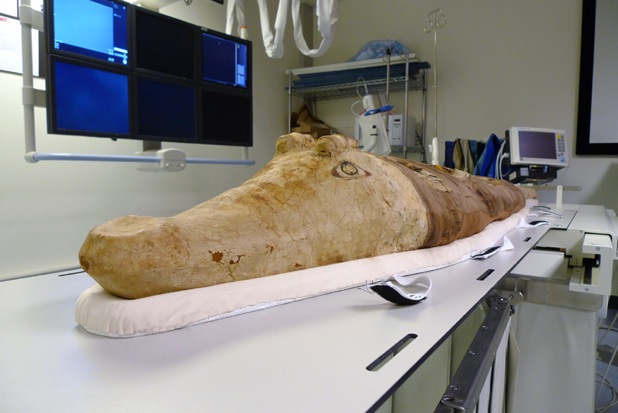 Croc Mummy1