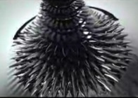 Morphovid-1
