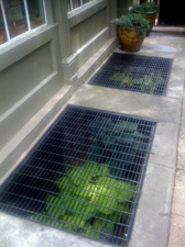 Photo-5