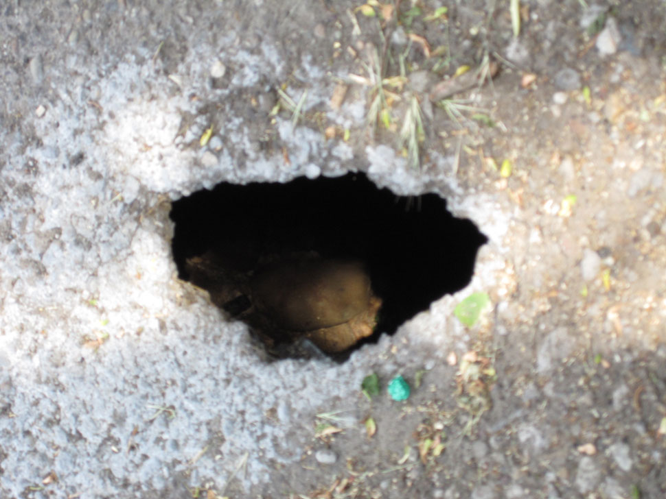 sinkhole2.jpg