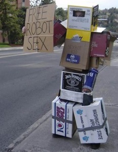 No sex for robots?